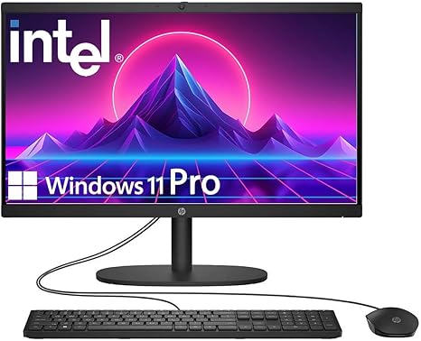 HP 2025 22" FHD All-in-One Desktop Computer